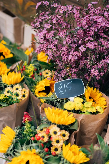 A vibrant floral display at a flower market outdoors, featuring fresh sunflower bouquets wrapped in brown paper, with large yellow sunflower heads and smaller daisies in shades of cream and red, arran