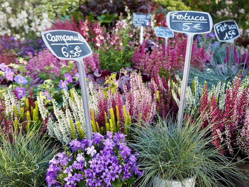 A vibrant flower display featuring a variety of blooming plants with purple, white, pink, and blue flowers. Several signs with handwritten labels and prices are placed among the plants, indicating dif