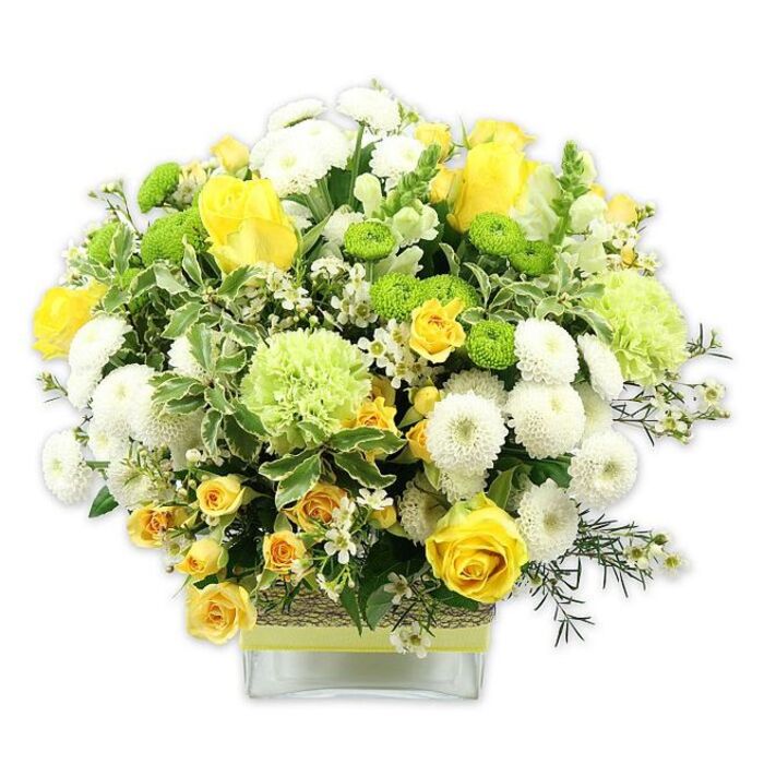 A generously proportioned floral display is captured against a clean white background, showcasing a domed bouquet of cheerful yellow, crisp white, and fresh green blooms arranged in a low, rectangular glass vase. The composition has the polished yet relaxed feel of a bouquet that might grace a dining table in a Harold Hill family home on a special occasion. At the centre, yellow roses take pride of place, their velvety petals unfurling in rich spirals, some blossoms open wide while others remain in tight, elegant buds. Around them, clusters of yellow spray roses nestle into the spaces, adding texture and a sense of layered abundance. White pompom chrysanthemums, round and densely petaled, are interspersed throughout, cushioning the brighter flowers with their soft, pillowy forms. Popping out between the whites and yellows are lime green button chrysanthemums, small and spherical, bringing a lively, contemporary edge. Taller, fluffy pale green flowers-reminiscent of ruffled carnations or decorative green mums-rise just slightly above the main line of blooms, adding height and a gentle, frilled texture that suggests lightness. A rich framework of foliage surrounds the flowers: broad green leaves with creamy white edges, deeper green leaves that anchor the palette, and light, airy filler greenery that extends the shape into a soft, rounded silhouette. Tiny, star-like white filler flowers are scattered with a light hand, brightening the bouquet much like the small blossoms you might see along the paths near Harold Wood Park. The stems are clearly visible through the glass vase, which is wrapped mid-way with a textured band of natural material, likely raffia or jute, and finished with a pale lime or yellow-green ribbon. It is a design that radiates joy and freshness, suited for celebrations, thank-you gifts, or simply welcoming guests into a Harold Hill home.