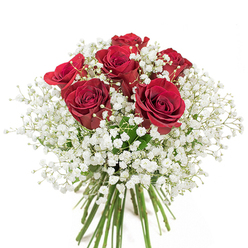 This graceful bouquet, expertly arranged by a Harold Hill florist, captures the spirit of sincere affection in every detail. Six opulent red roses, each at the height of bloom, form the luminous centrepiece-velvety petals unfurling in rich crimson spirals, offering a sense of warmth and depth unique to passionately crafted floral gifts. Surrounding the roses is an embrace of baby's breath, countless pure white florets clouding around each bold scarlet bloom, evoking an atmosphere of soft tranquility like a morning mist drifting over Central Park in Harold Hill. The interplay of rich red and pure white creates a harmonious duet-each bloom enhancing the other while the bundled, verdant stems beneath signal a bouquet freshly gathered and artfully tied. There's a sense of occasion and gentle celebration imbued in the arrangement, complemented by subtle, sweet fragrance and crisp, fresh foliage. Ideal for conveying love, gratitude, or admiration on a quiet evening at a Harold Hill home, this bouquet is a versatile gesture-fit for anniversaries, birthdays, or any moment deserving of heartfelt recognition. The bouquet's simplicity and elegance reflect both timeless tradition and the unique character of Harold Hill's close-knit community, ensuring it brings a touch of beauty and meaning wherever it is delivered.