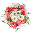Radiating the joyful energy of Harold Hill's spring mornings, this bouquet is masterfully arranged to celebrate the area's signature spirit and charm. White daisies with luminous, green-gold centers emerge from a bed of coral-pink carnations, each ruffled petal reflecting sunlight as if plucked fresh from a market on Hilldene Avenue. Graceful clusters of baby's breath are woven like delicate lace, bringing a cloud-like softness and a poetic elegance to the display. Eucalyptus leaves in subtle shades of silver-green peek from behind, releasing a fresh, herbal fragrance that lingers gently. Hints of unopened alstroemeria buds, blushed with mauve and magenta, suggest hope for new blooms and stories yet to unfold. The palette is lively yet soothing, distinctively modern yet rooted in tradition, and the round, inviting shape of the bouquet suggests celebration and togetherness. Ideal for birthday surprises, housewarming gestures, or simply brightening a loved one's day, this arrangement channels the welcoming heart of Harold Hill-crafted by local hands, inspired by the area's lively green corners, and available for prompt delivery across the neighbourhood.