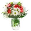 Designed for Harold Hill's warm-hearted residents, this vibrant bouquet exudes cheerful freshness and an approachable elegance that brightens any setting. Fluffy coral-hued carnations form the heart of the arrangement, their frilled petals bursting with gentle movement and personality. Encircling them, crisp white chrysanthemums and classic daisies with luminous yellow-green centres radiate a sense of youthful hope reminiscent of spring mornings in Harold Hill's parks. Wisps of delicate baby's breath drift among the lush blooms, softening the composition with a dreamy, cloud-like effect and lifting the bouquet's overall spirit. Along one side, tightly-closed magenta alstroemeria buds add a quiet intrigue, promising continued beauty as days go by. Broad, glossy leaves form a nourishing base, anchoring the arrangement, while slender foliage wends thoughtfully through the bouquet, elevating its natural, organic design. The vase is a clear cylinder filled with pure water, accentuating the healthy green stems and serving as a refreshing reminder of the bouquet's freshness-perfect for same-day delivery across Harold Hill. Displayed against a white backdrop, every colour and textural nuance comes alive, making the arrangement not just a decoration, but a bright, heartfelt expression for birthdays, celebrations, or thoughtful gestures in the Harold Hill community.